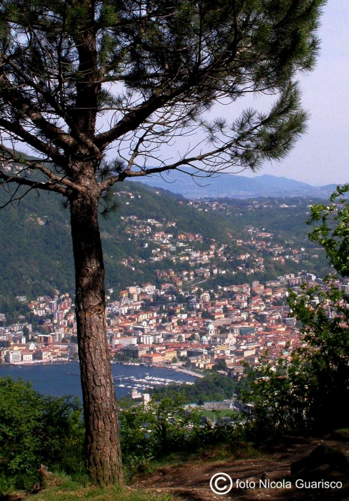 Como city
