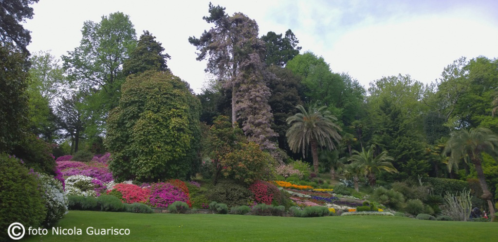 tremezzo, villa carlotta lago di como, parco botanico giardino con piante esotiche e fioritura e palme