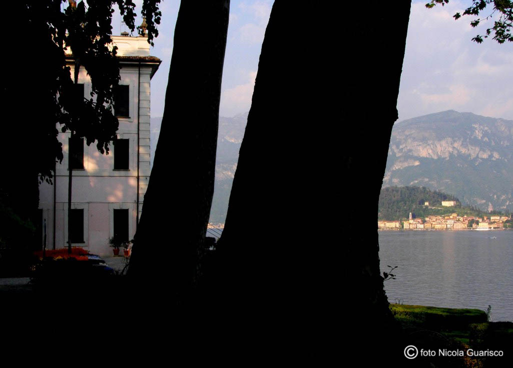 tremezzo, villa carlotta sul lago di como, platani alberi secolari stendahl, con lo sfondo di bellagio