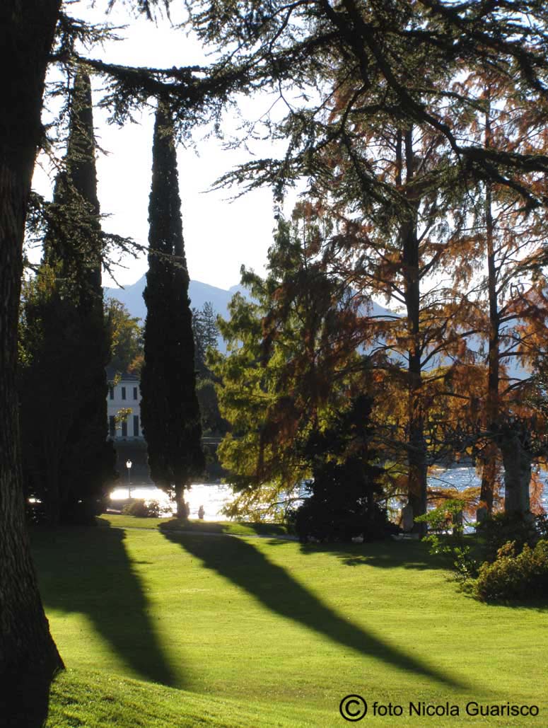 giochi di luce e ombra tra i cipressi del parco di villa melzi a bellagio sul lago di como
