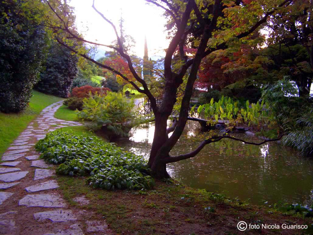 riflessi nello stagno zen giapponese del parco di villa melzi a bellagio sul lago di como