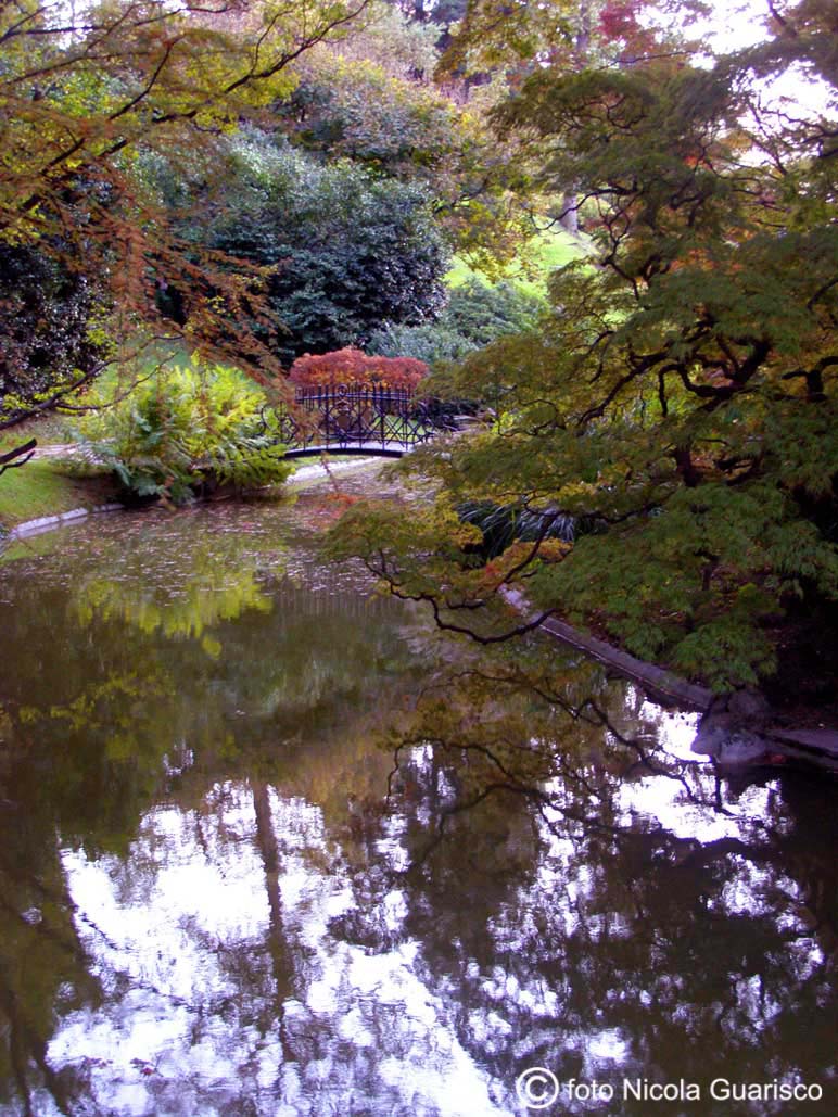 riflessi nello stagno giapponese del parco di villa melzi a bellagio sul lago di como