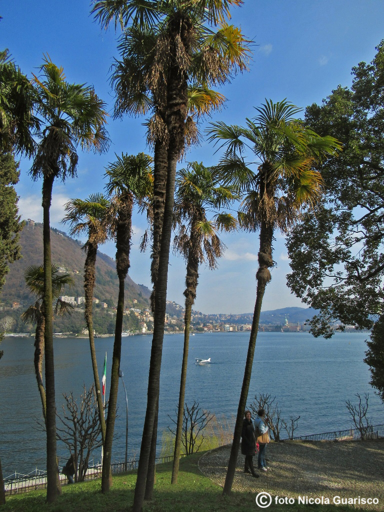 lago di como parco di villa del grumello con palme