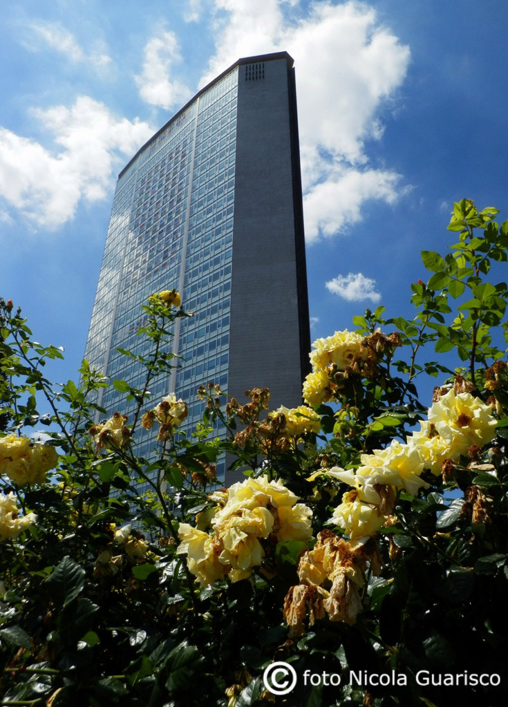 il grattacielo pirelli o pirellone con rose gialle a milano
