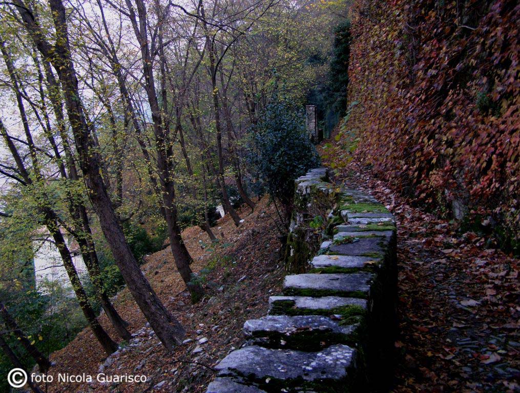 sentiero verso villa pliniana a torno sul lago di como ricoperto di foglie in autunno nel bosco con muretti a secco