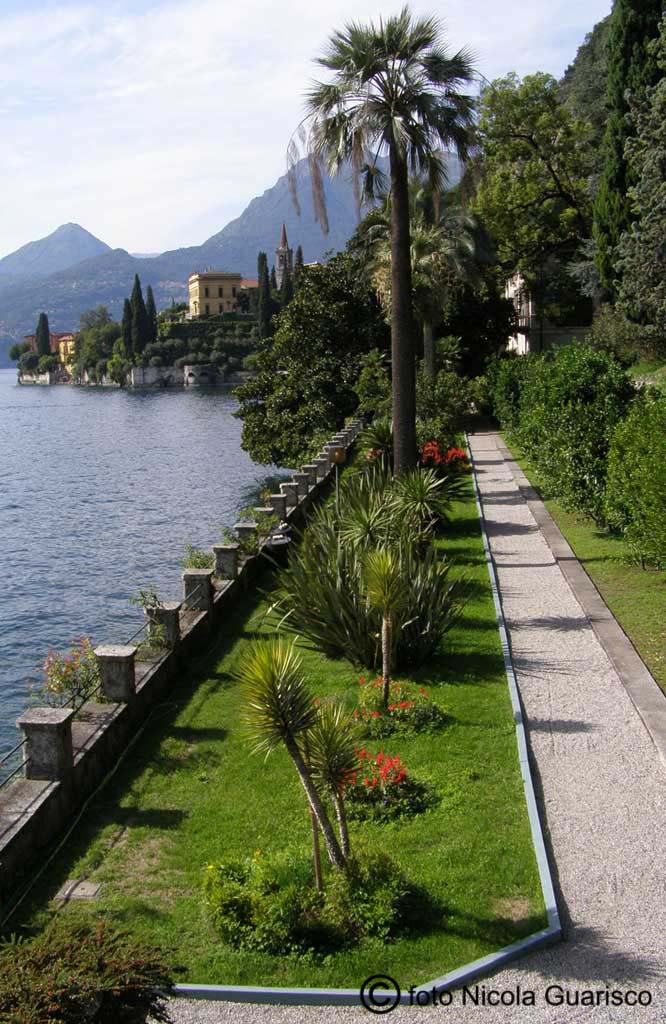 lago di como villa monastero a varenna, veduta d'insieme del parco con palme e piante esotiche nel parco o giardino